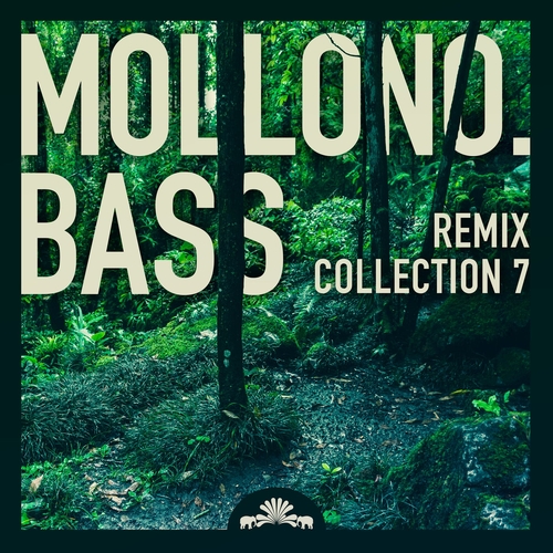 VA - Mollono.Bass - Remix Collection 7 [3000GRADCD026D]